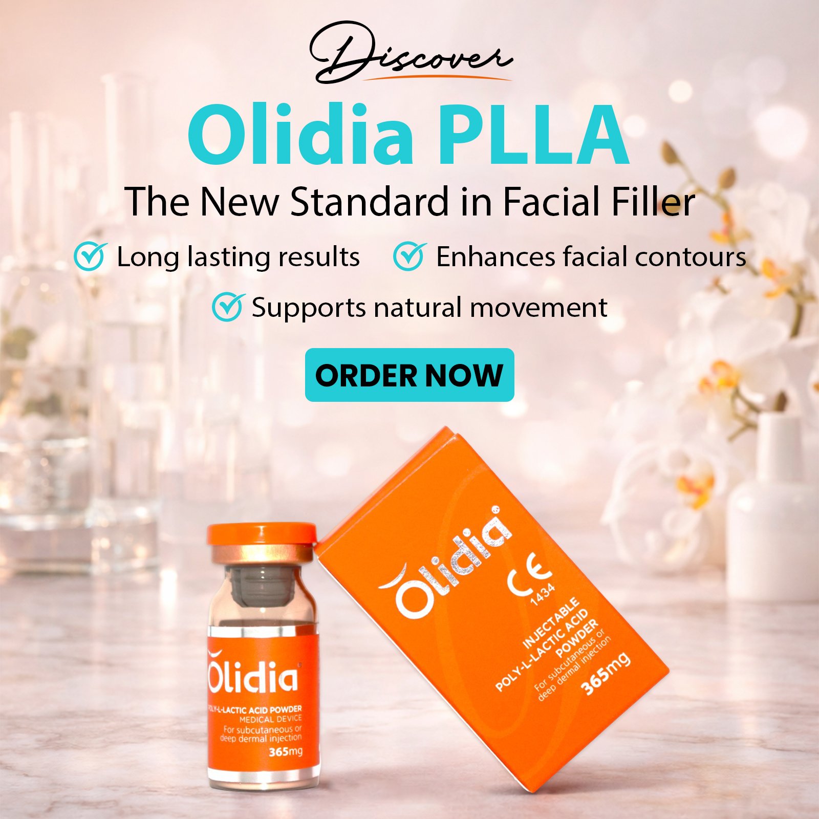 Home 17 Discover olidia plla